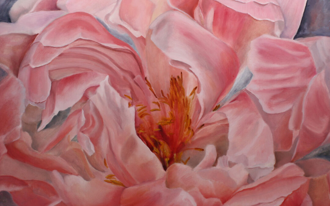 Art Exhibitions in Worcester