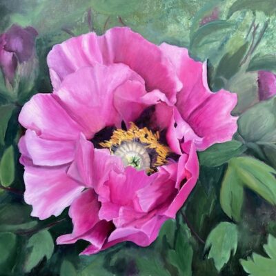 Pink Rockii Peony Oil painting on gesso board