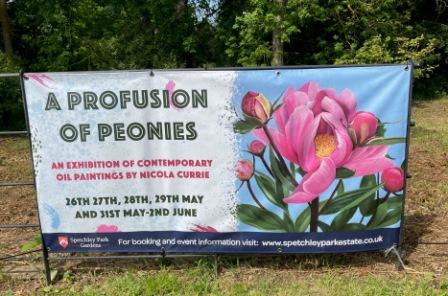 A Profusion of Peonies Art Exhibition opens this Friday