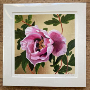 Pink Rockii Peony on Gold