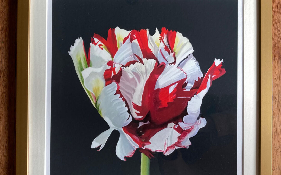 New Limited Edition Prints – Buy Here