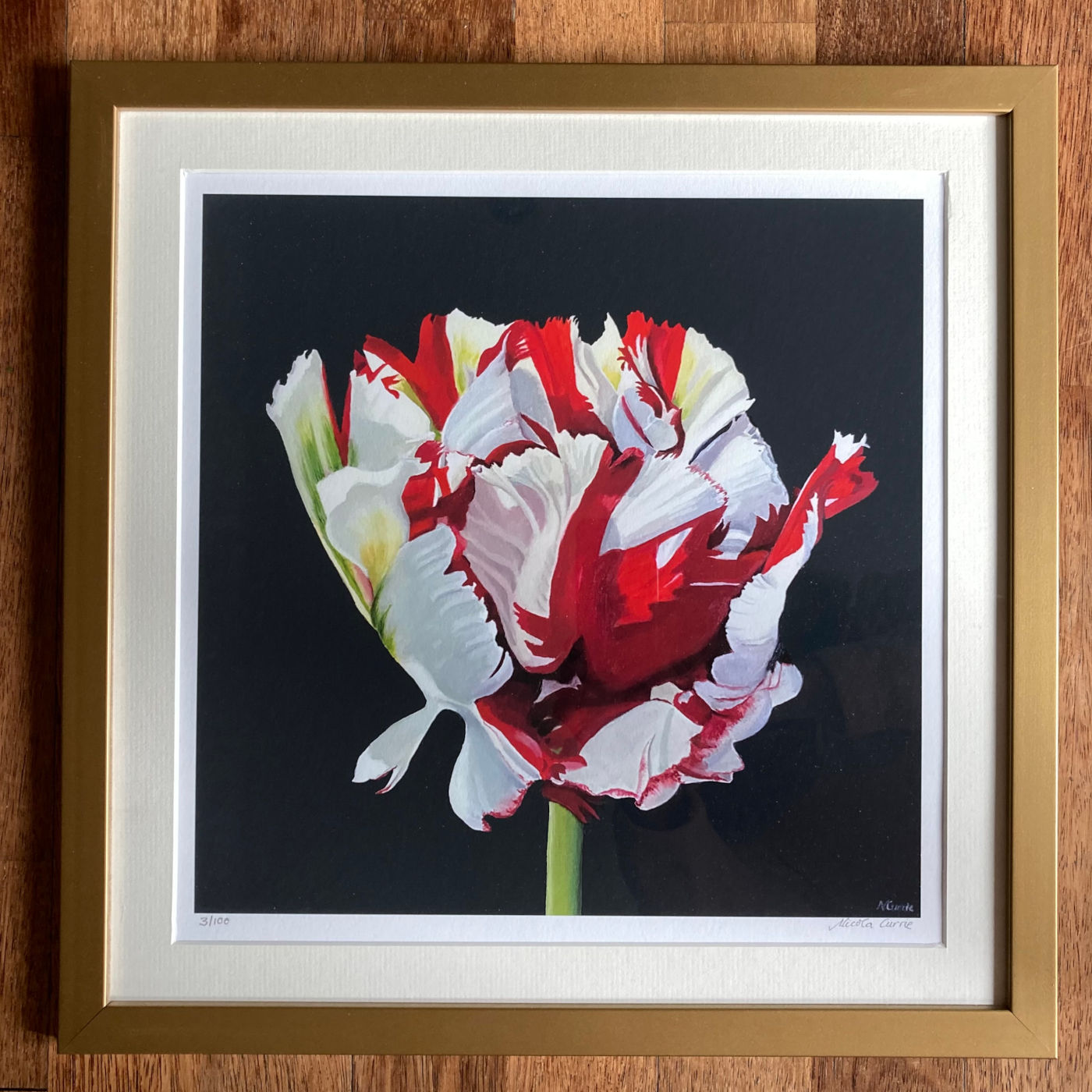 Tulippa Estella Rijnveld