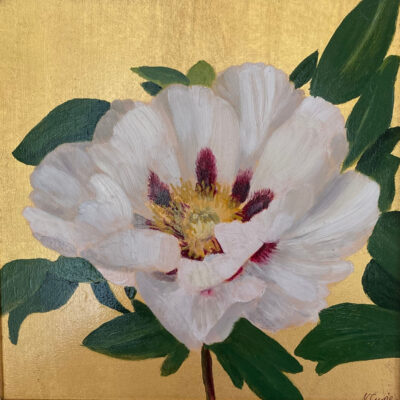 Nicola Currie Fine Art an original oil painting on 23 carat gold leaf of a white rockii peony from RHS Rosemoor in Devon.