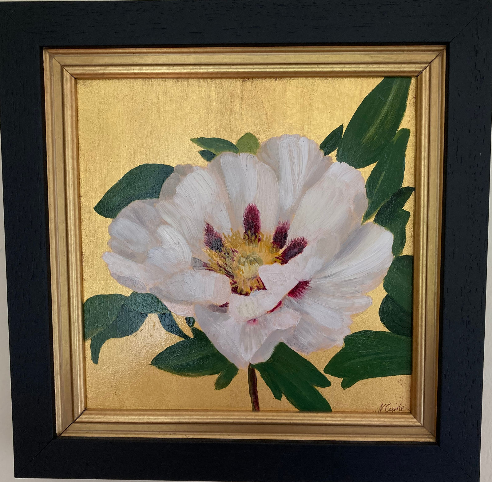Rosemoor White Rockii Peony