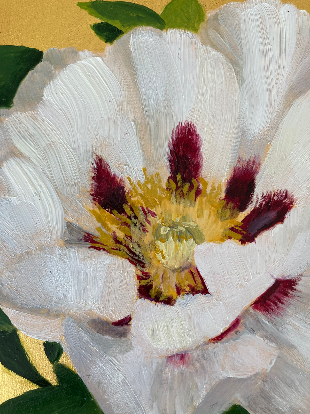 Rosemoor White Rockii Peony