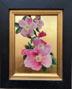 Spetchley Pink Roses