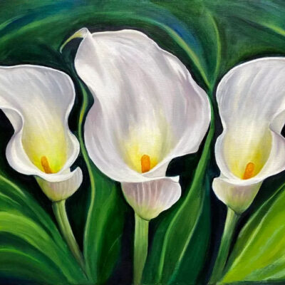 White Calla Lilies