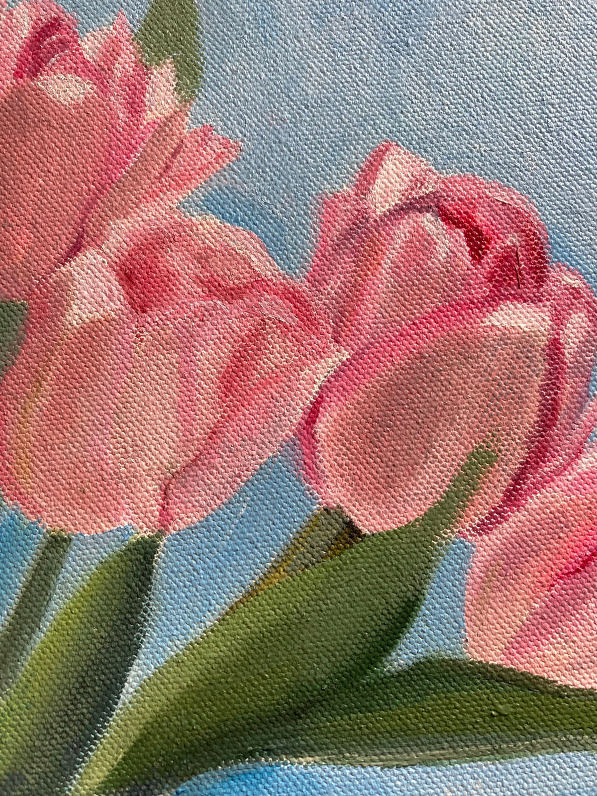 Pink Tulips Shadow Play