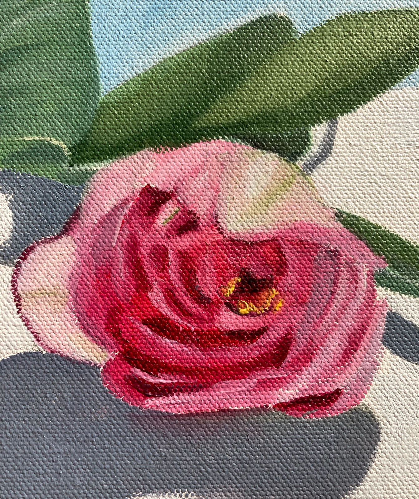 Pink Tulips Shadow Play