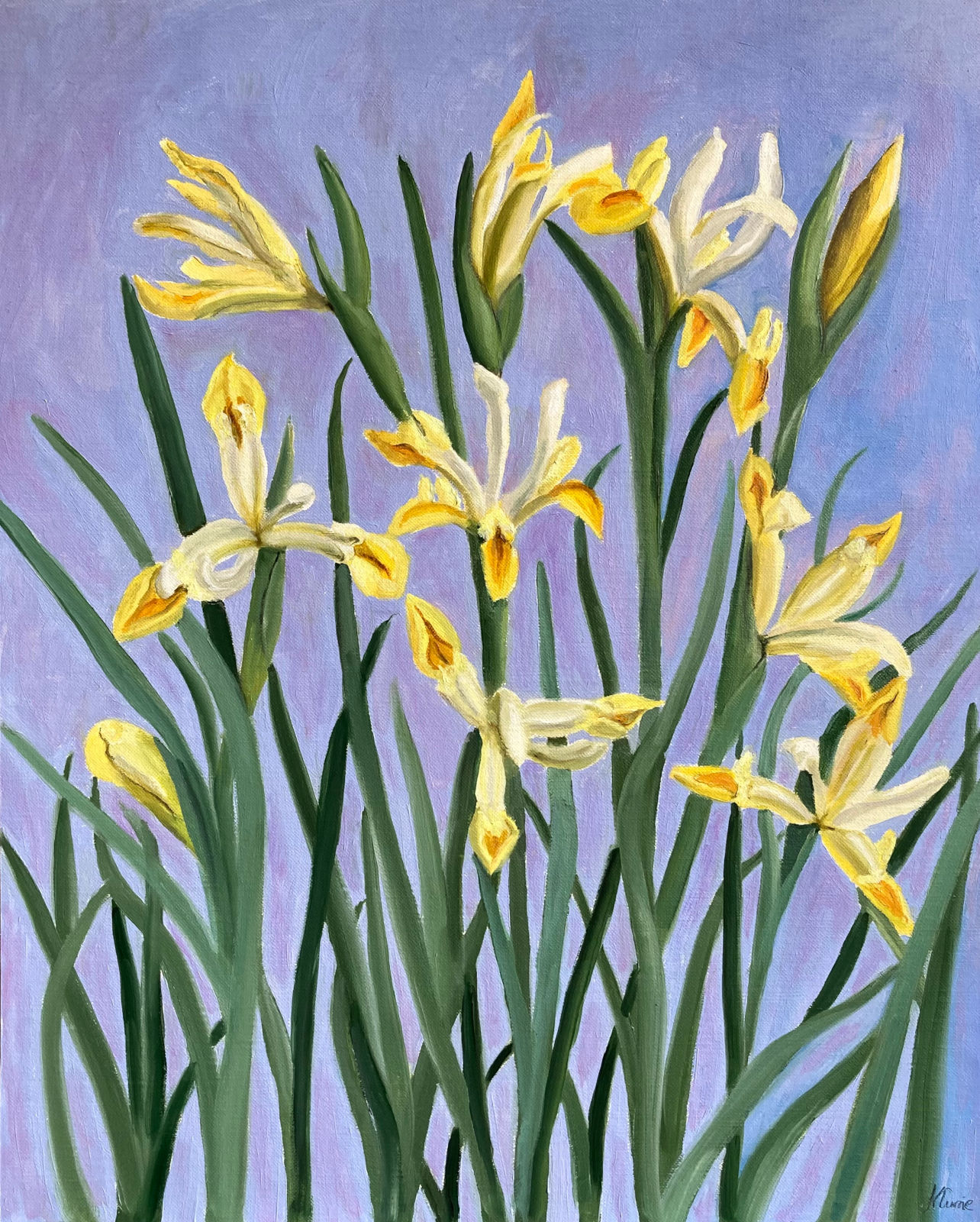 Yellow Irises oil painting, floral oil painting, Irises oil painting for sale