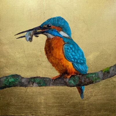 Kingfisher on Gold Oil painting on board with 23 carat gold leaf 8x8 inches/20x20cm Framed in a double black and gold wood frame. Price £350.