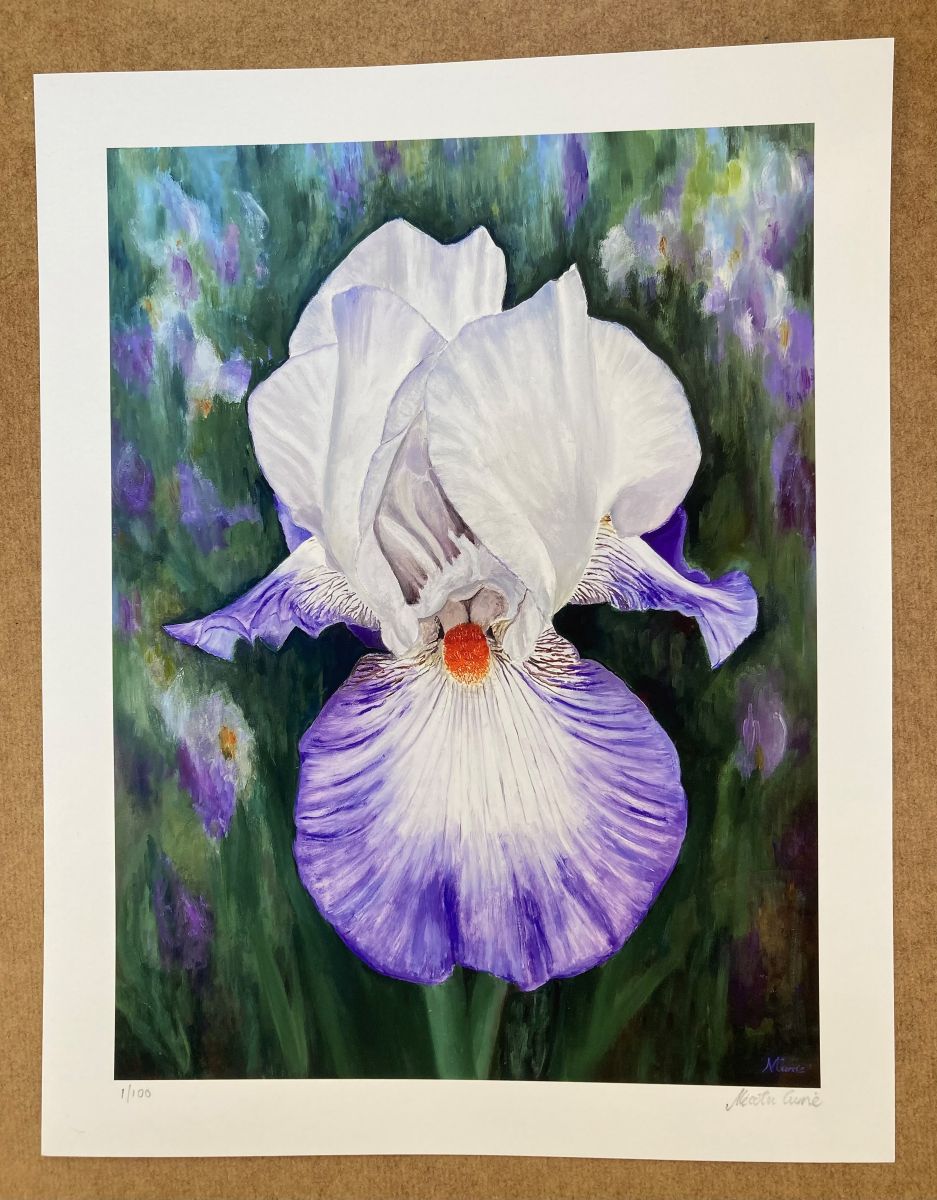 A picture of a limited edition print of an Iris flower