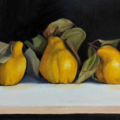 Original oil painting of three quinces on a dark background, painted in classical still life style. Part of Nicola Currie's Taste of Herefordshire Series