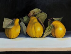 Oil painting of three quinces on a dark background, painted in classical still life style
