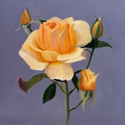 Just Joey Rose oil painting by Nicola Currie