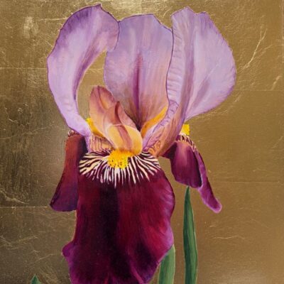 Bearded Purple Iris on Gold, original oil painting of a purple Iris germanica on an imitation gold leaf background